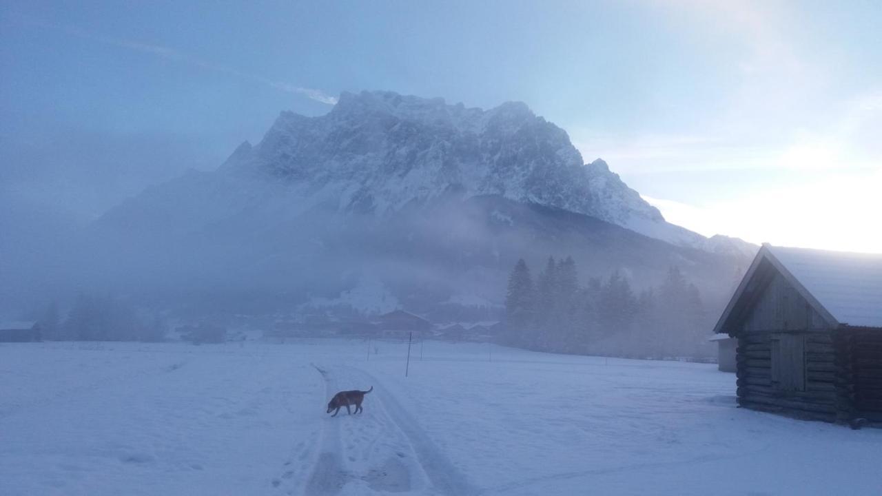 Tyrol Appartements Ehrwald Eksteriør bilde