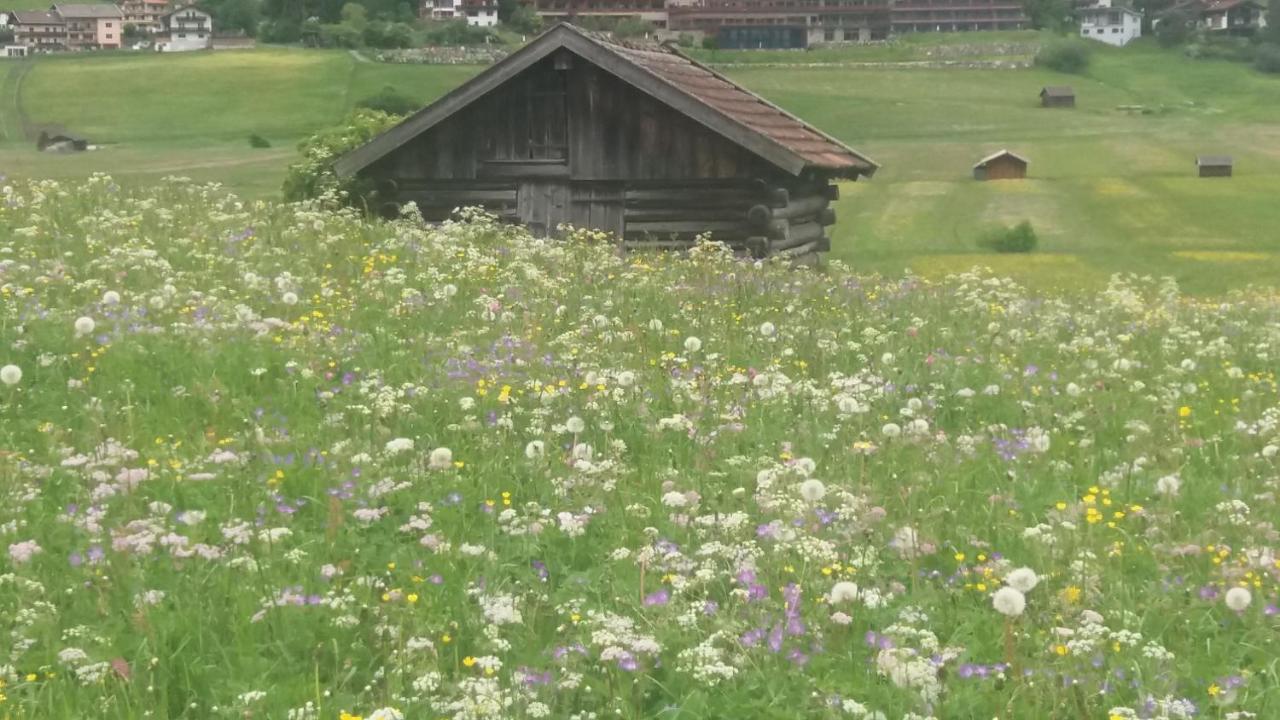 Tyrol Appartements Ehrwald Eksteriør bilde